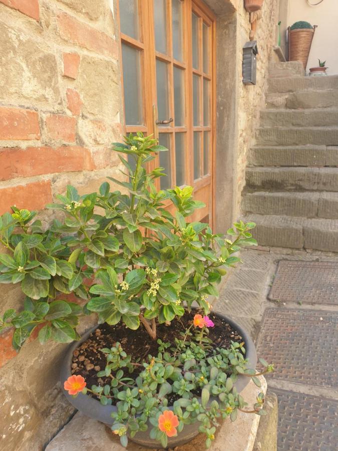 Helga'S House- Una Finestra Sul Borgo Ambra Bagian luar foto